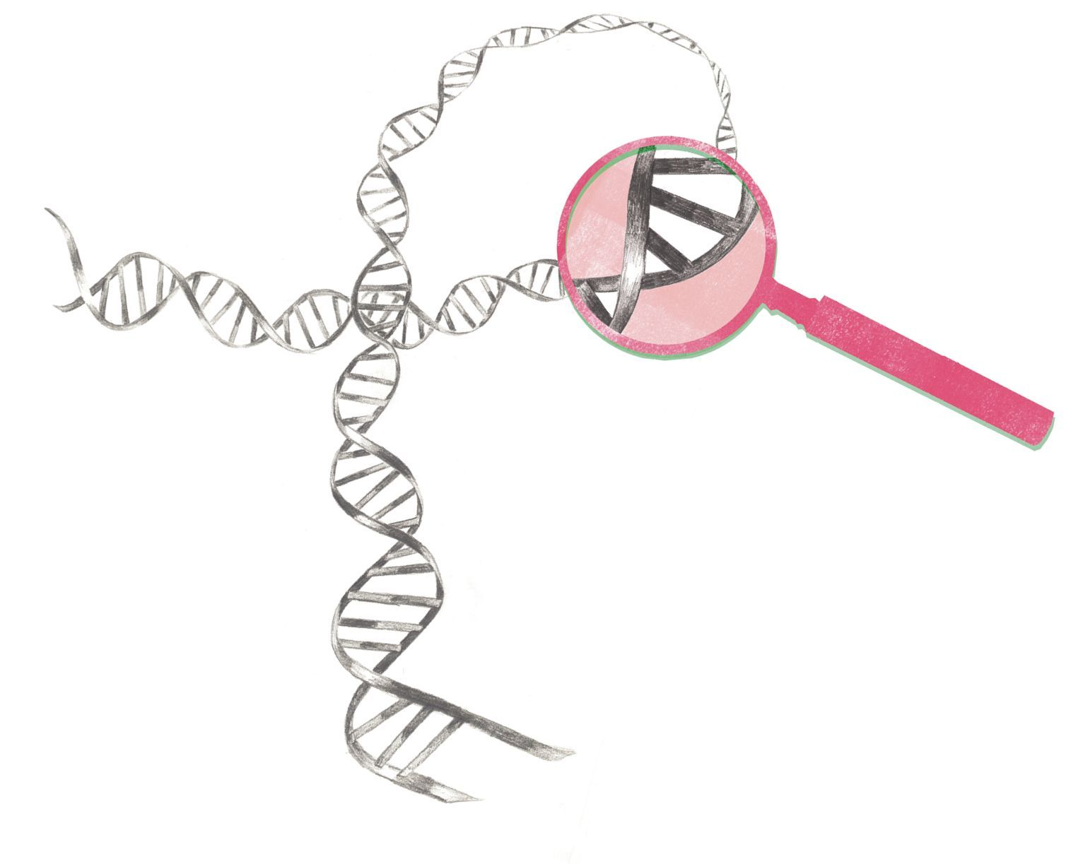 Symbolische illustratie (kleur) verfijning diagnostiek genetisch profiel MDS